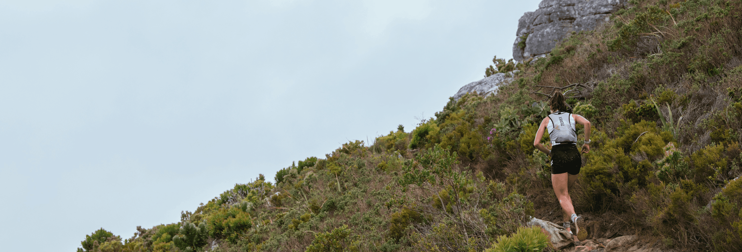 Louise Serban-Penhoat